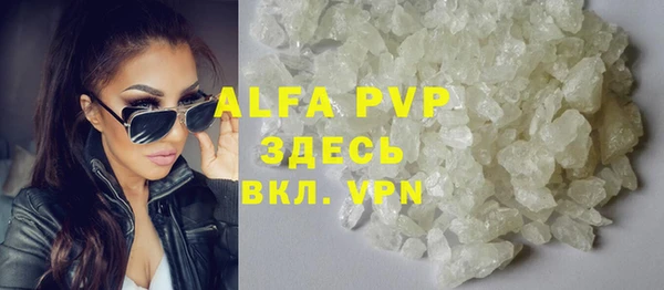 индика Балабаново