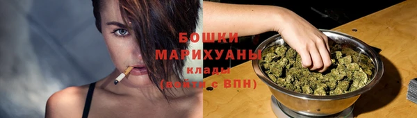 индика Балабаново