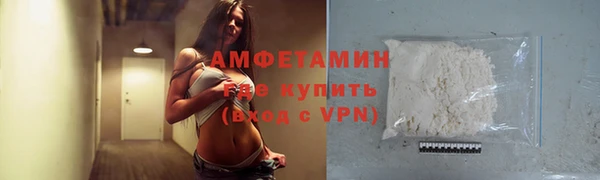 индика Балабаново