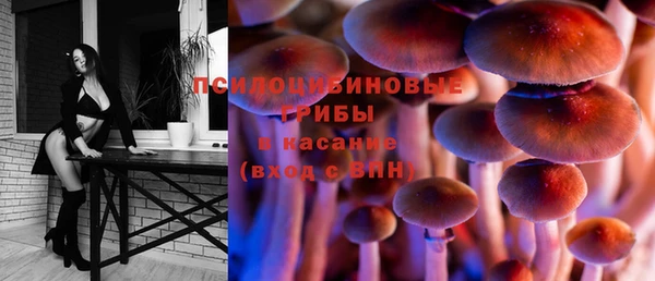 трава Арсеньев
